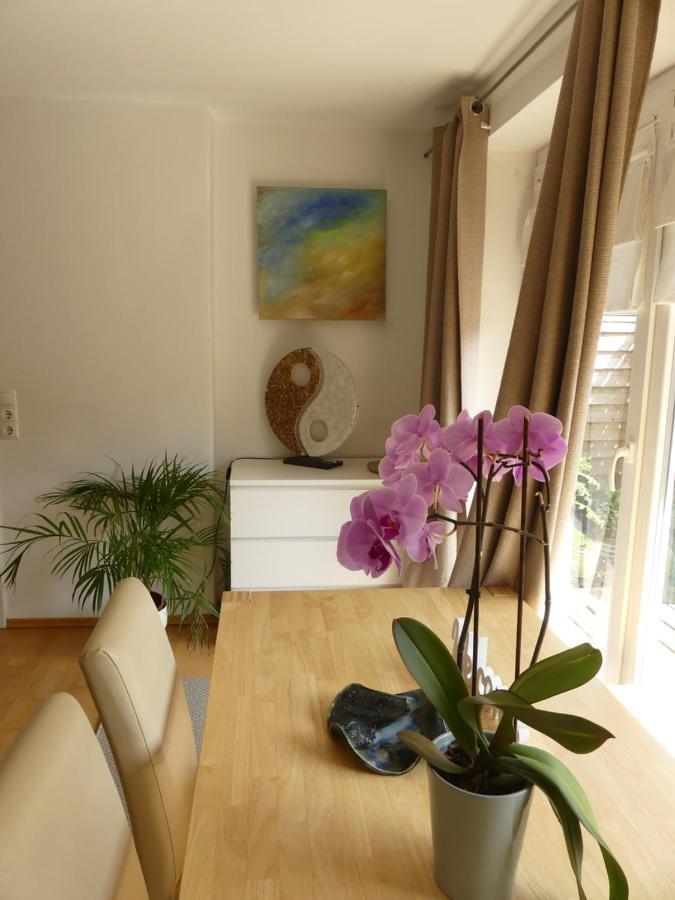 Top-2 Zimmer Ferienwohnung In Salzburg Mit Terrasse Eksteriør billede